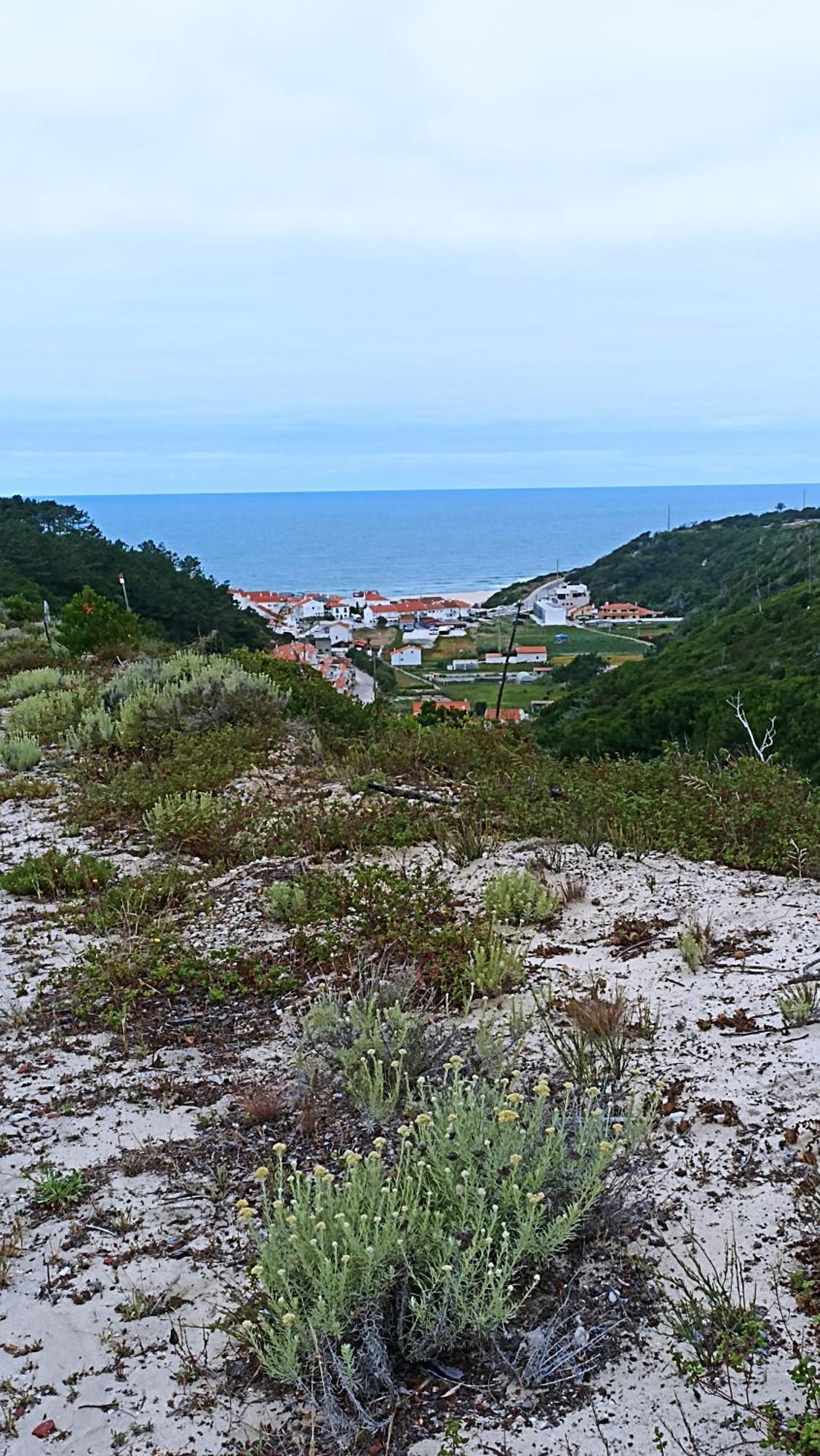 Tinyhouse Tilda - Near Famous Beaches Pataias Exterior photo