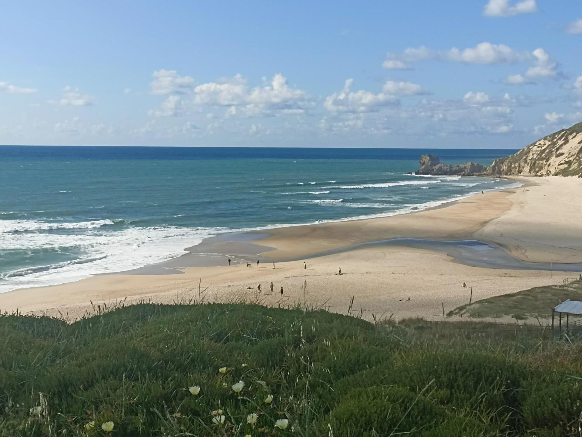 Tinyhouse Tilda - Near Famous Beaches Pataias Exterior photo